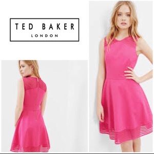 New Ted Baker Eleese Mesh Skater Dress